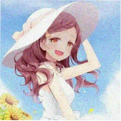 导演专栏头像